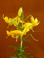 Foto: Dr. Peter Müller